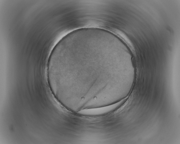 X0000111221340200907301217