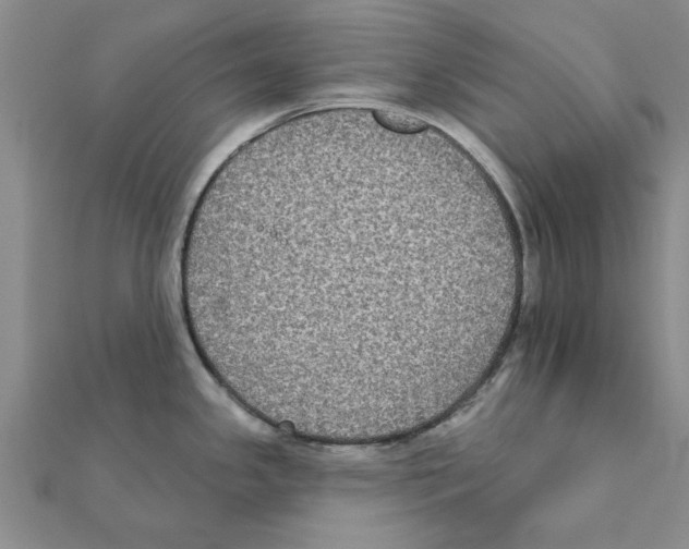 X0000111221341200907301217