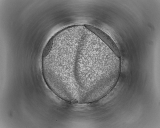X0000111221342200907301217