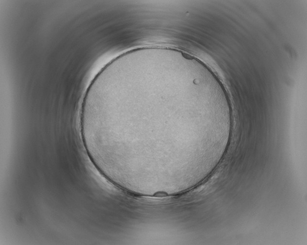 X0000111221344200907301217