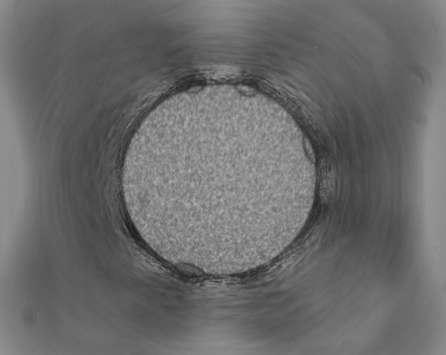 X0000111221345200907301217
