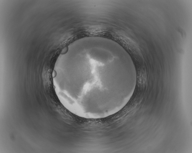 X0000111221346200907301217