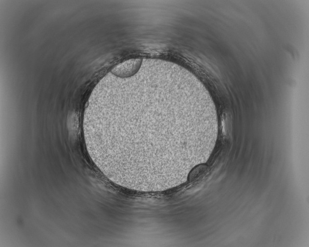 X0000111221347200907301217