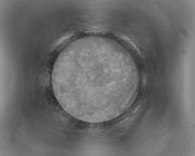 X0000111221350200907301217