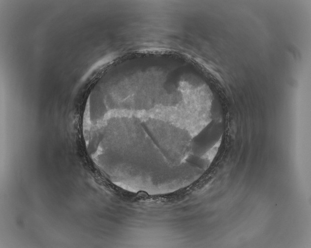 X0000111221351200907301216