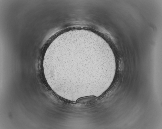 X0000111221352200907301216