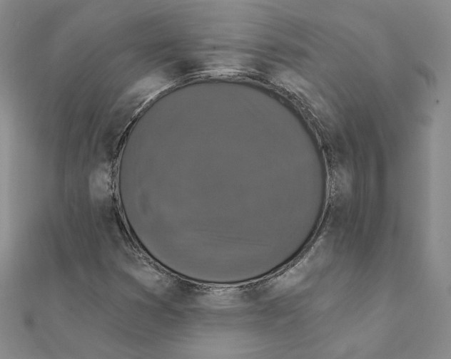 X0000111221353200907301216