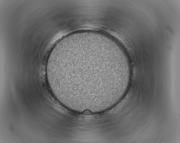 X0000111221355200907301216