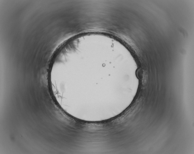 X0000111221356200907301216