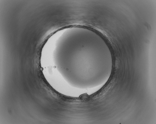 X0000111221359200907301216