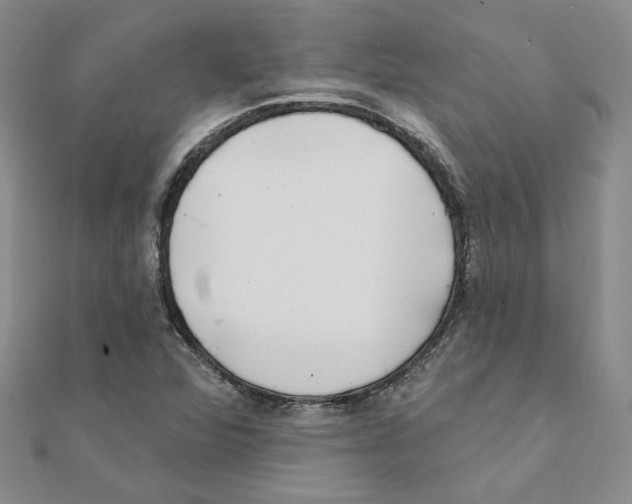 X0000111221360200907301216