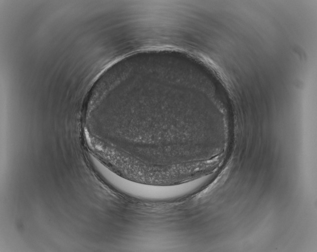 X0000111221361200907301216