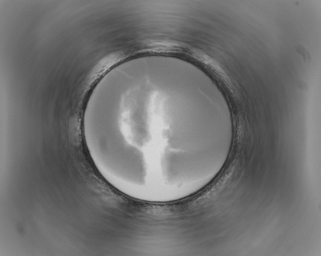 X0000111221362200907301216