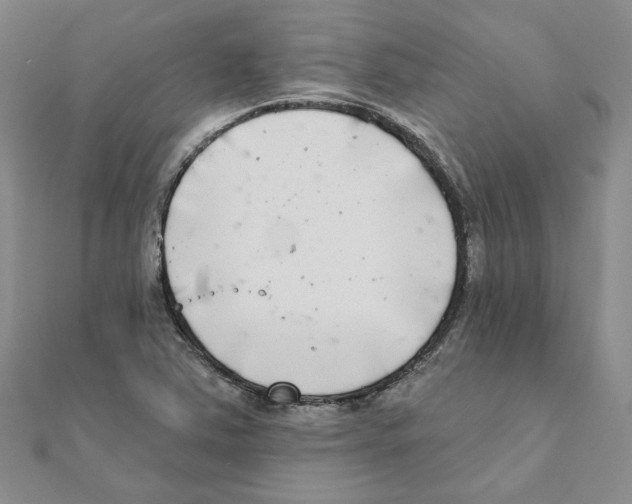 X0000111221363200907301216