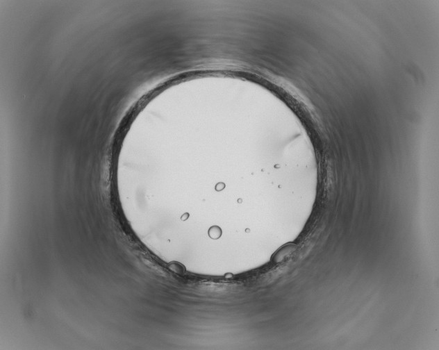 X0000111221364200907301216