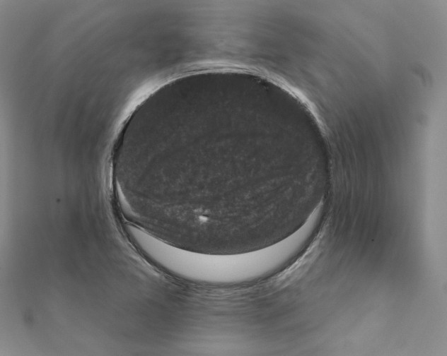 X0000111221365200907301216