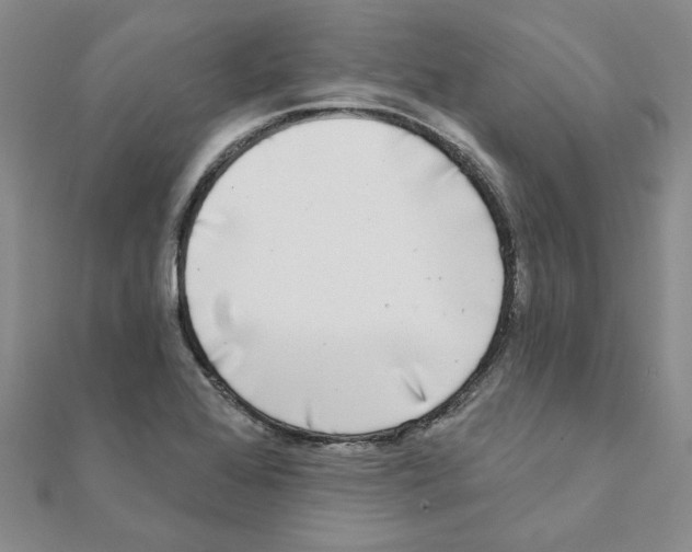 X0000111221368200907301216