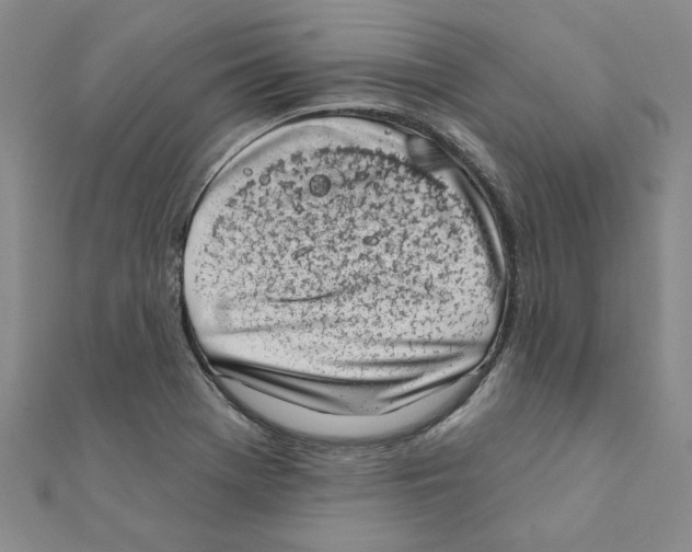 X0000111221369200907301216
