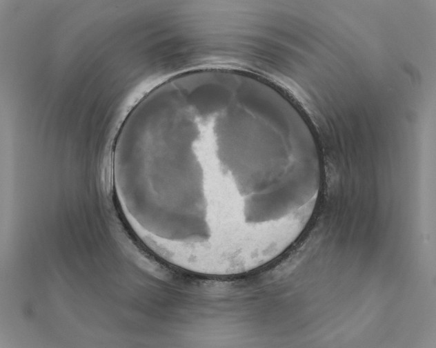 X0000111221371200907301216