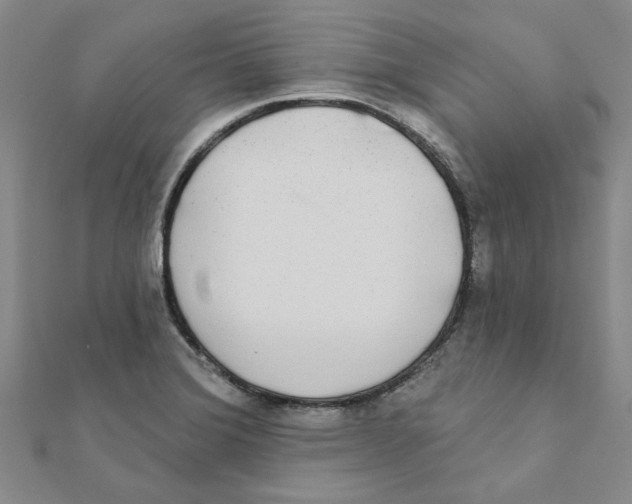 X0000111221372200907301216