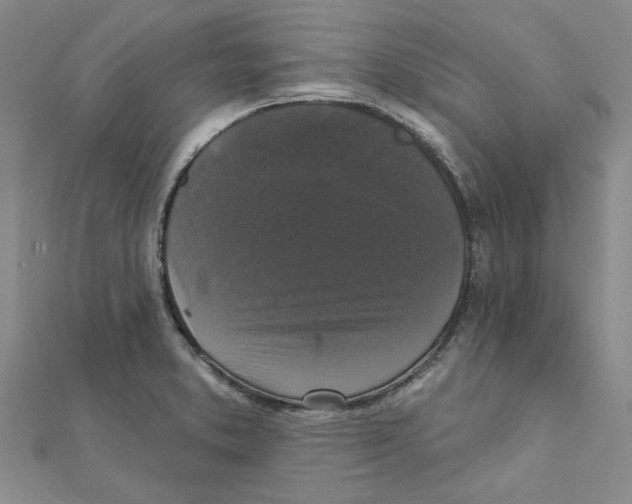 X0000111221373200907301216