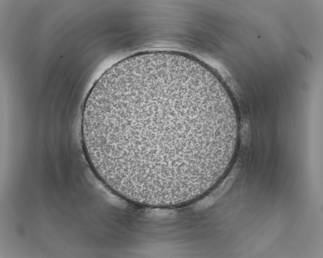 X0000111221374200907301216