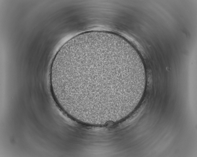 X0000111221375200907301216