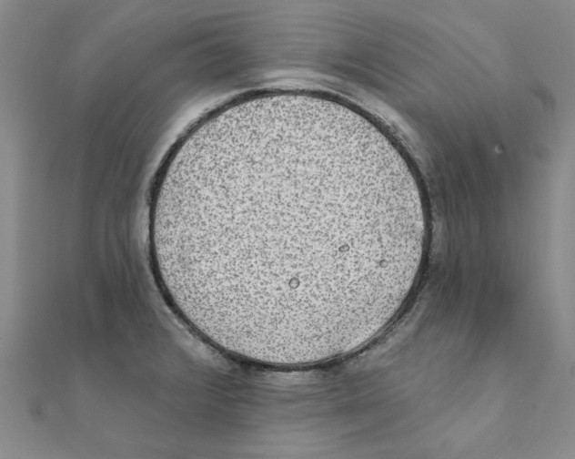 X0000111221376200907301216