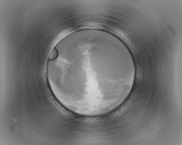 X0000111221378200907301216