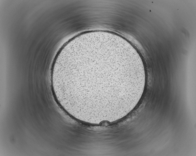 X0000111221380200907301216