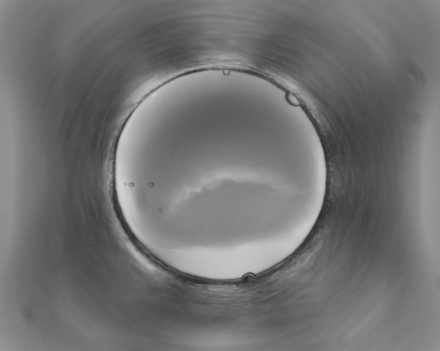X0000111221383200907301216