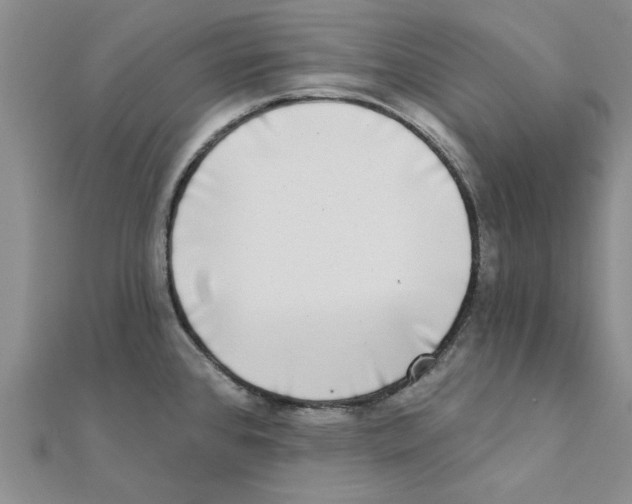 X0000111221384200907301216