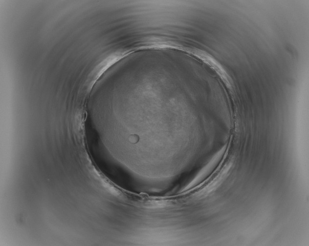 X0000111221385200907301216