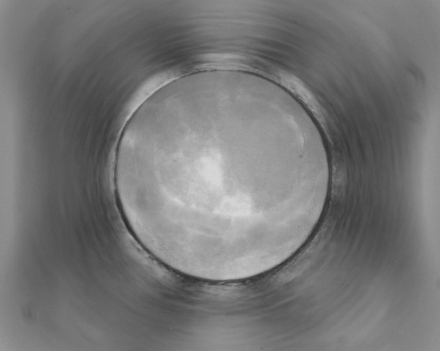 X0000111221386200907301216