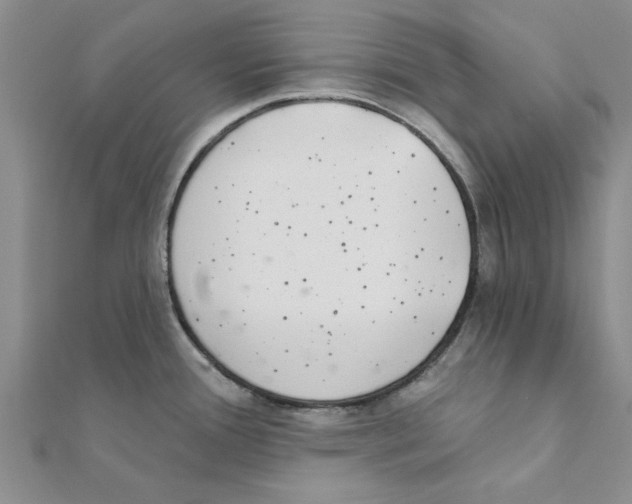 X0000111221388200907301216