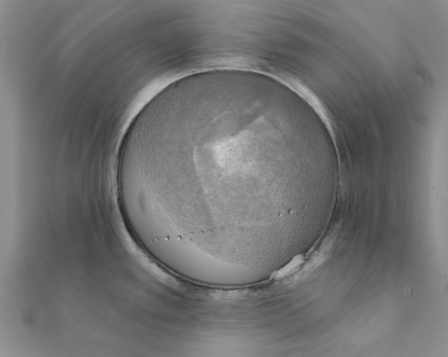 X0000111221389200907301216