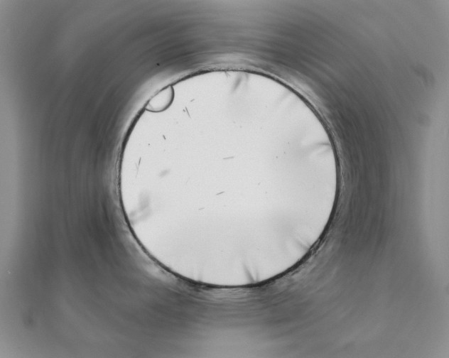 X0000111221392200907301216