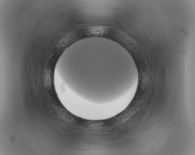 X0000111221394200907301215