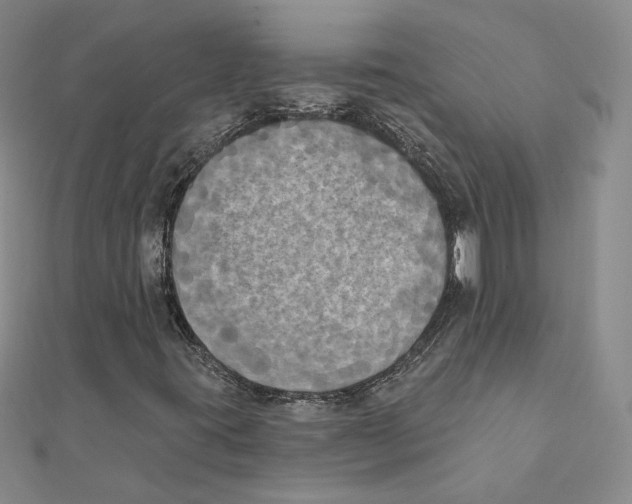 X0000111221395200907301215