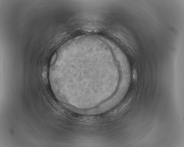 X0000111221396200907301215