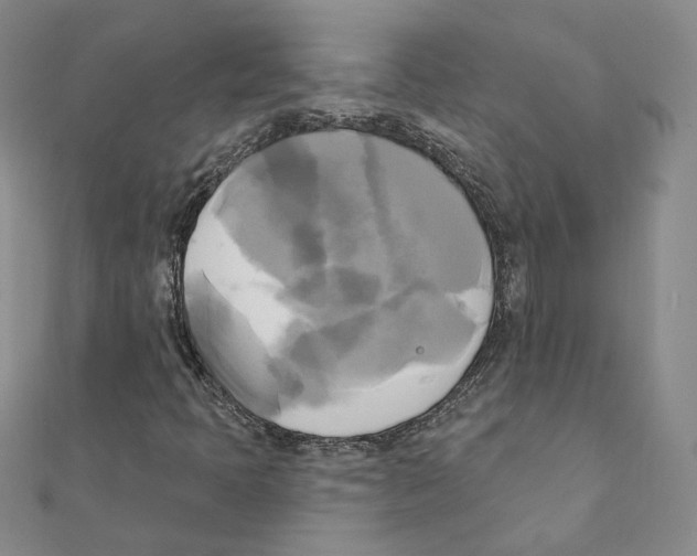 X0000111221397200907301215
