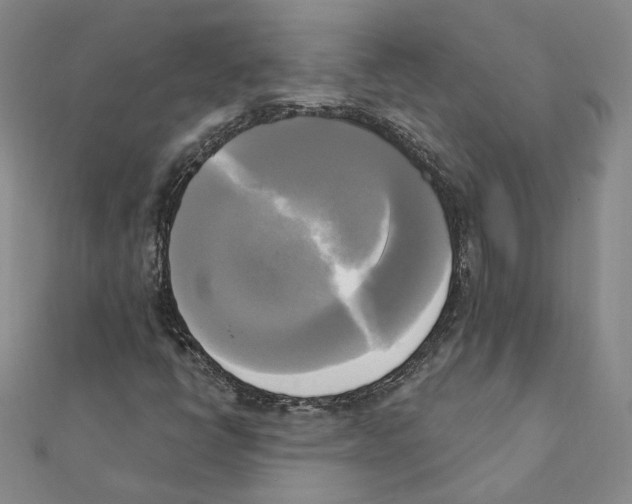 X0000111221398200907301215