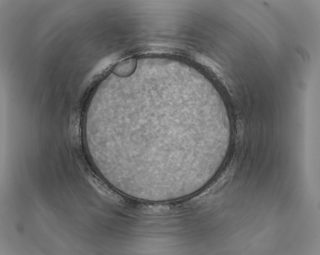 X0000111221403200907301215