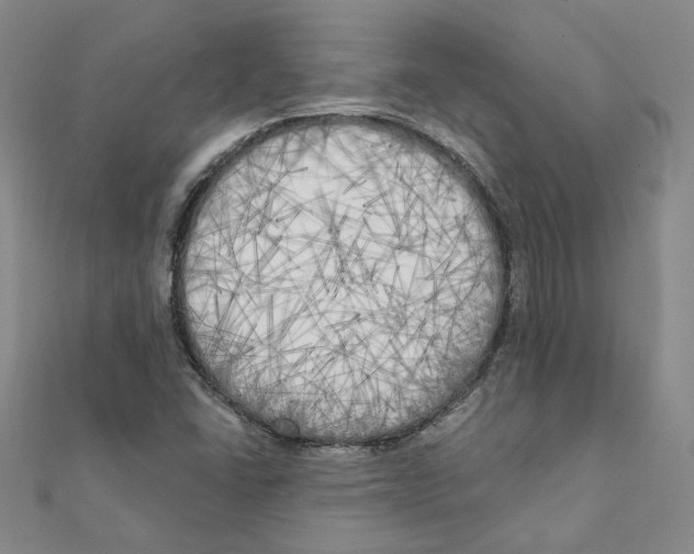 X0000111221406200907301216