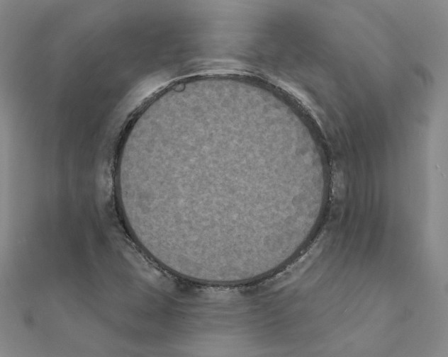 X0000111221407200907301216