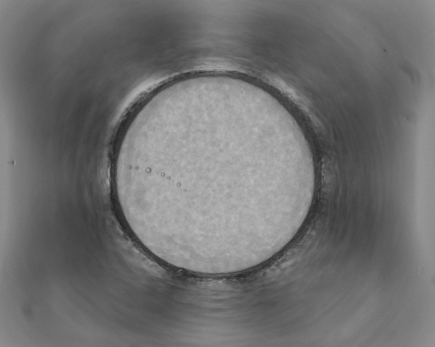 X0000111221408200907301216