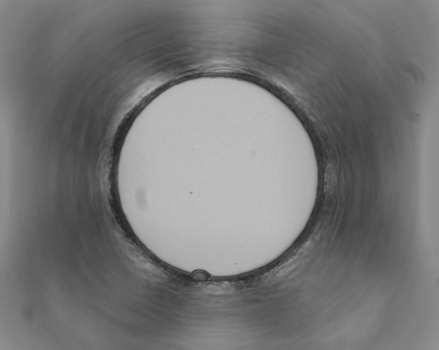 X0000111221410200907301216
