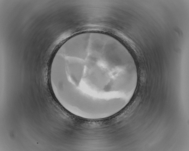 X0000111221411200907301216