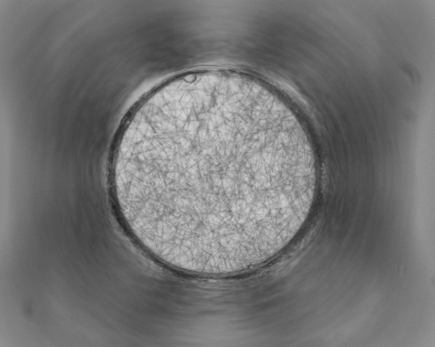 X0000111221412200907301216