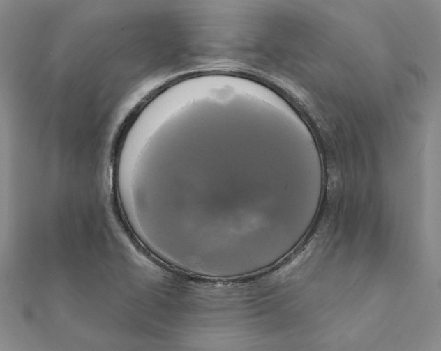 X0000111221414200907301216